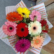 Large gerbera handtied