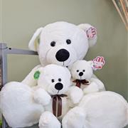 Plush teddy bear