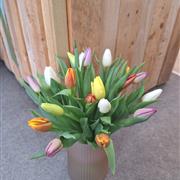 Tulip vase