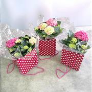 Pink hydrangea gift bag