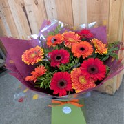 Autumn gerbera handtied
