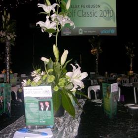 fwthumbcorp008.jpg