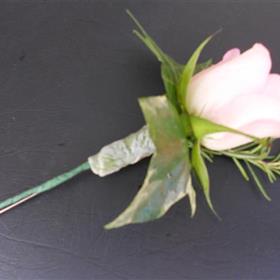 fwthumbDSCN4979.jpg